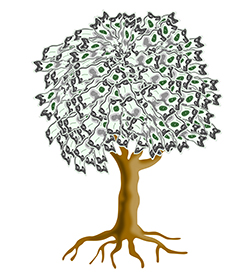 The Money Tree: Understanding & Implementing Compensation Analysis