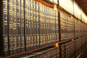 Litigation Holds & Electronically Stored Information