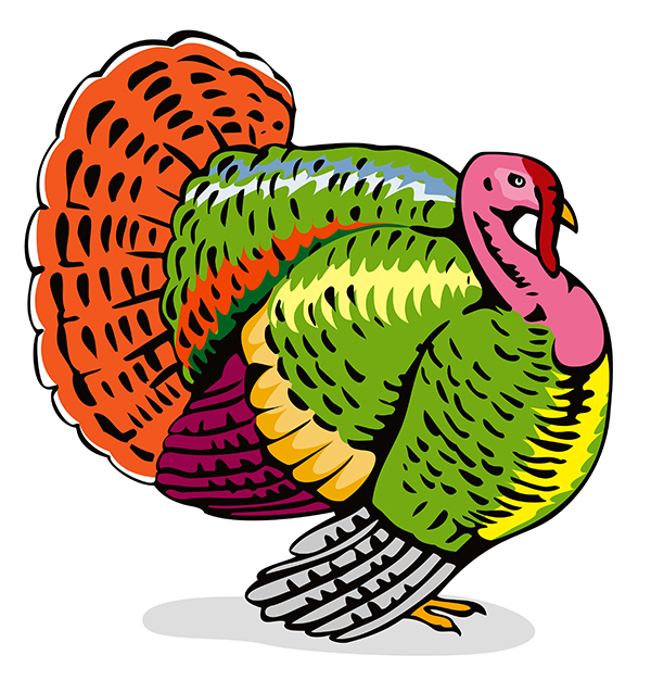 Talking Turkey About Your Organization’s Background Screening Policy 